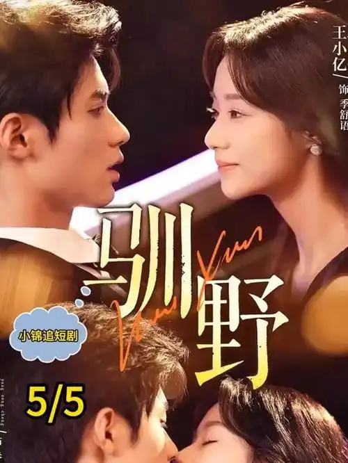 99影院推荐剧集《雾港来信》封面